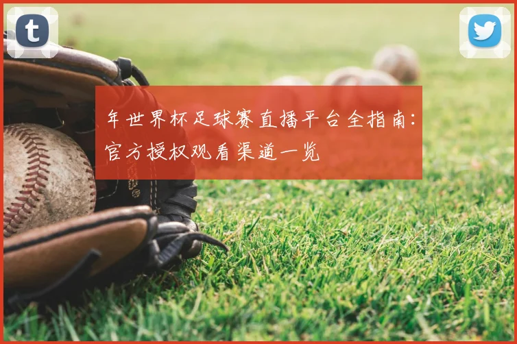 年世界杯足球赛直播平台全指南：官方授权观看渠道一览