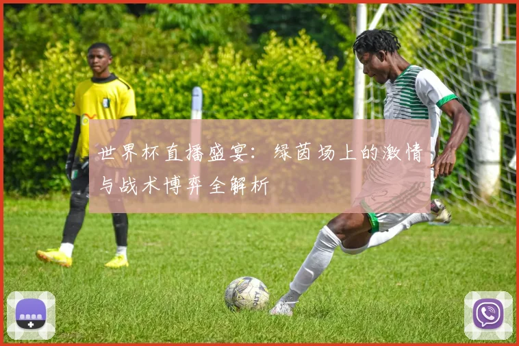 世界杯直播盛宴：绿茵场上的激情与战术博弈全解析